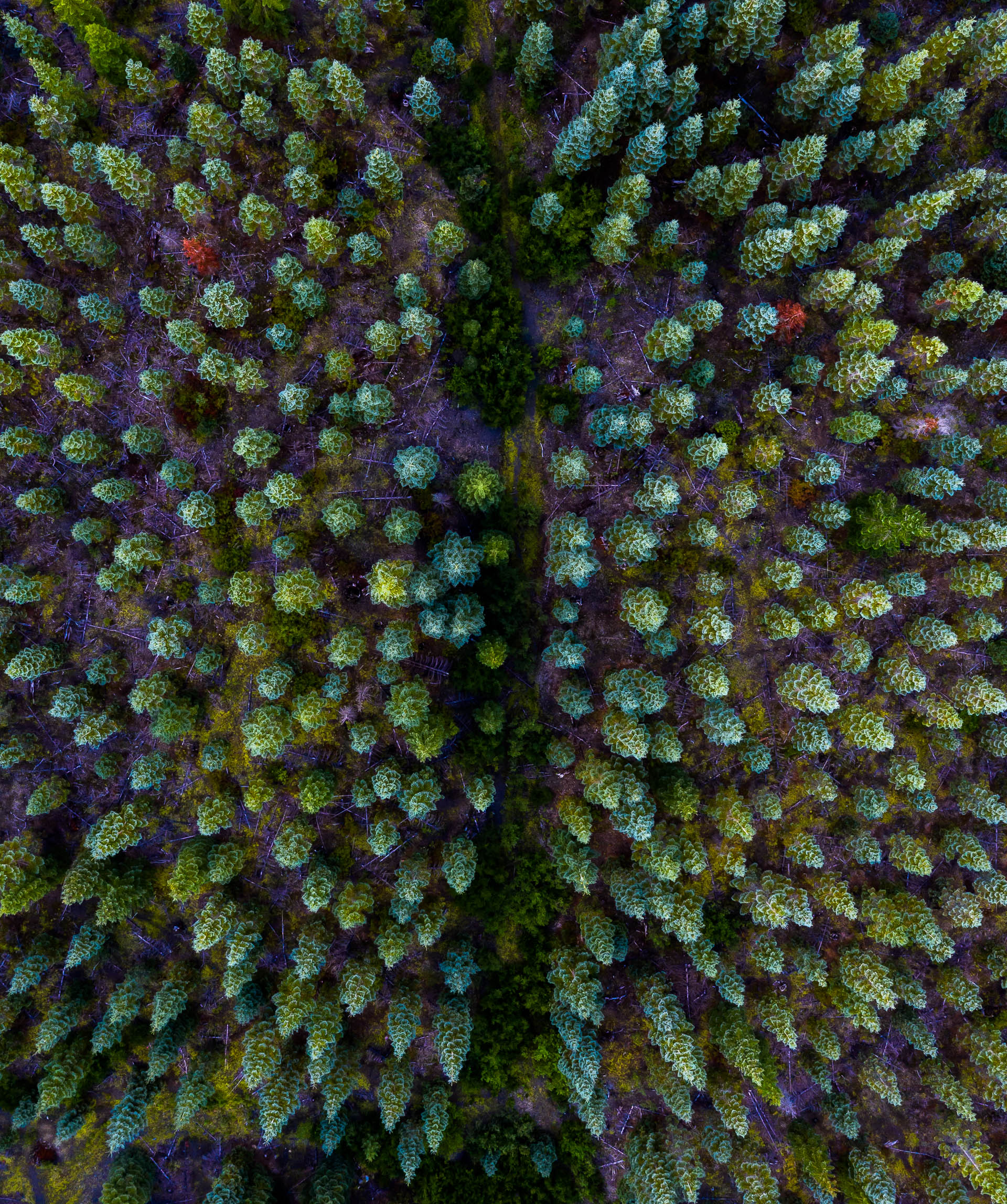 North Cascades Drone Photography